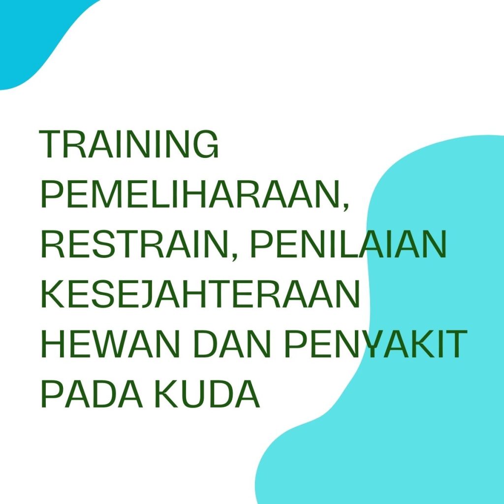 pelatihan PEMELIHARAAN, RESTRAIN, PENILAIAN KESEJAHTERAAN HEWAN DAN PENYAKIT PADA KUDA di bandung