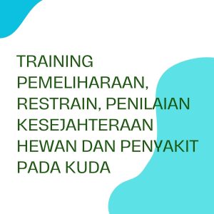 pelatihan PEMELIHARAAN, RESTRAIN, PENILAIAN KESEJAHTERAAN HEWAN DAN PENYAKIT PADA KUDA di bandung